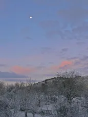 Missing winter