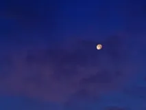 Moon at dawn