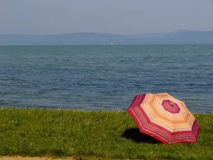 Longing for water