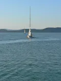 Sail away