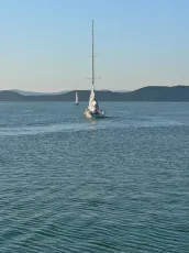 Sail away