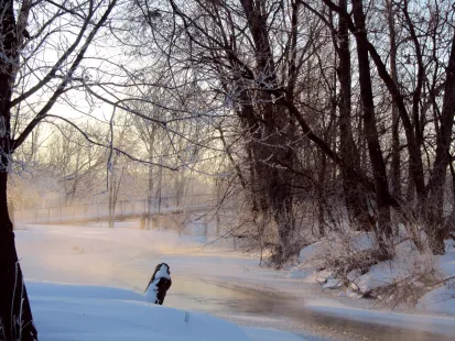 Winter wonderland