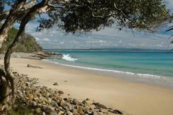 Noosa National Park - Tea Tree Bay