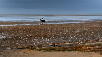 "Hoylake"