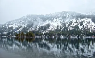 Cold Reflection
