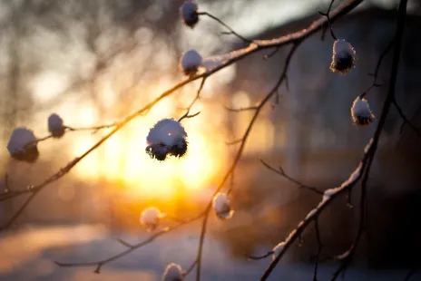 Winter haze