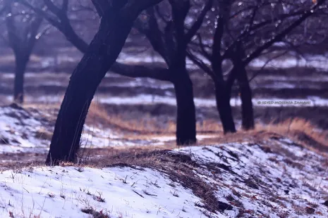 Winter