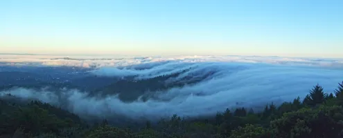 Rolling Fog, 3 of 3