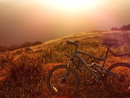Freeride