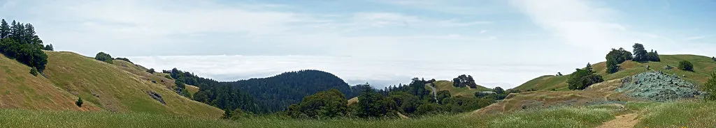 Ocean of Fog