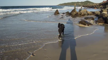 Belongil Beach, Byron Bay, New South Wales