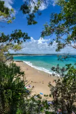 Noosa - Little Cove Beach