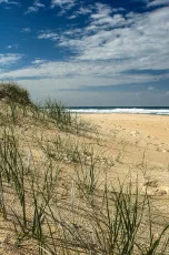 Sunshine Beach