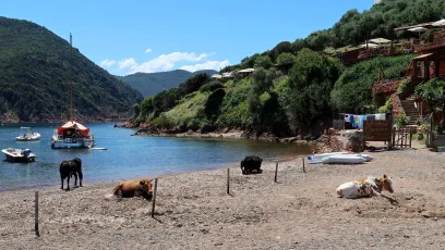 Port à vache