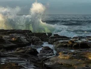 The Wave