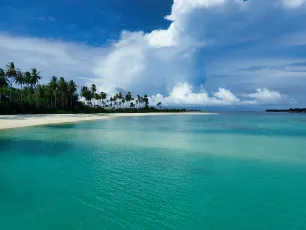Just a Little Touch of Paradise