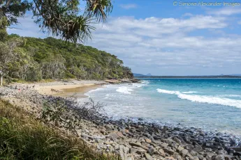 Noosa National Park - Tea Tree Bay