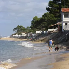 Dame au chien II