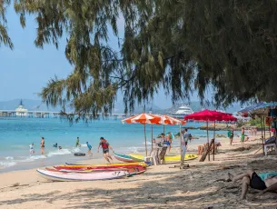 Beach Sea Casuarina Trees Gulf of Siam Sattahip Chonburi Province Thailand Southeast-Asia © Meer Strand Bäume Südost-Asien ©