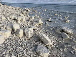 Kridtsten på stranden ved Møns Klint
