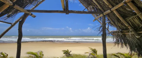 Sagi Paradise