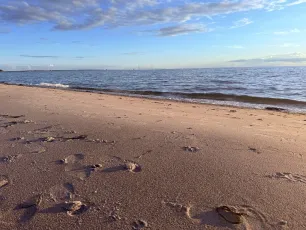 Fodspor i sandet ved Storebælt