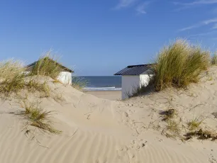 Beachscape