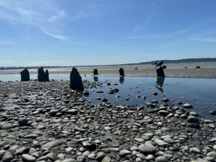White Rock Beach