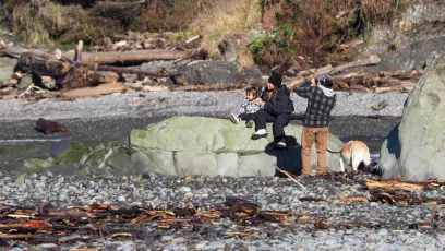 A Nice Comfortable Rock