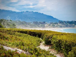 Carmel Beach