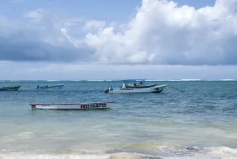 Moored Boats