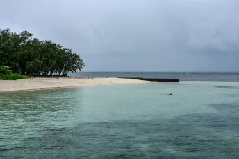 Un snorkler près d'une des plages de la magnifique Green Island du parc marin de la Grande Barrière de corail (Great Barrier Reef), en Australie!