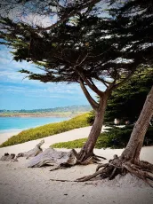 Carmel Beach