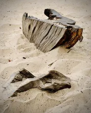 Carmel Beach