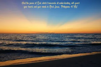 Anna Maria Island, FL