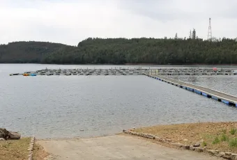Marina da Aguieira - Mortágua