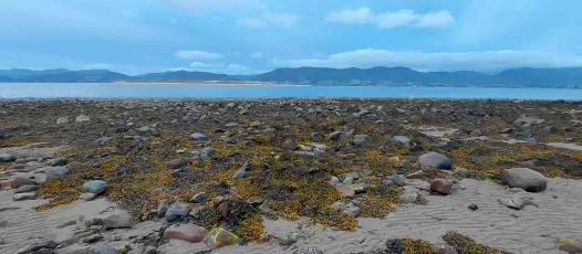 From Dooks Beach to Inch Beach