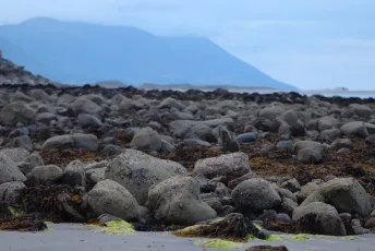 Rocky Shore