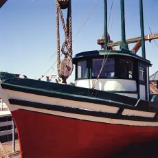 Jaunty Little Ship