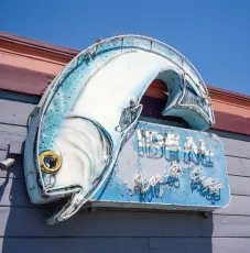 Ideal Fish
