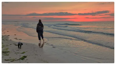 Beach sunset