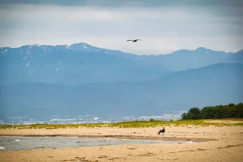 Iwasehama Beach 岩瀬浜海水浴場