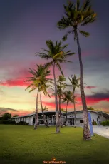 Leaving the tropics