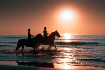 Horse riders at sunset