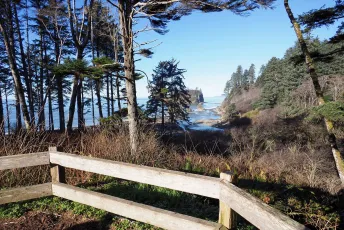 Trail to Ruby Beach