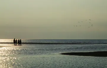 in the early evening