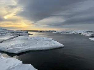 East Coast Icebergs