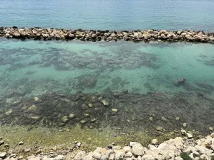 Yellowish-Emerald Water