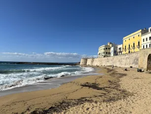 Waves in the South!