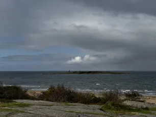 Tylön